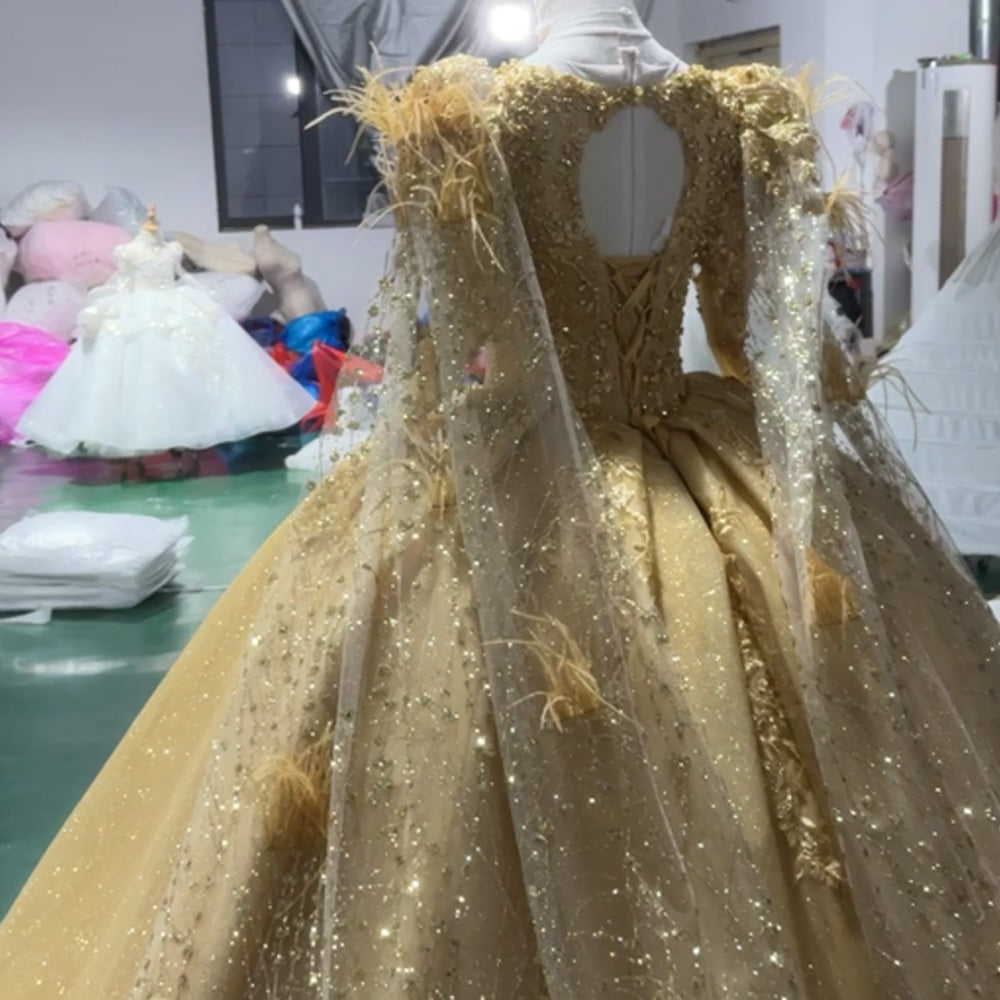 TW976 Yellow Evening Dress O-Neck Long Sleeve Crystal Embroidery With Feathers Lace-Up Keyhole Back Customizable Women's Formal Gown