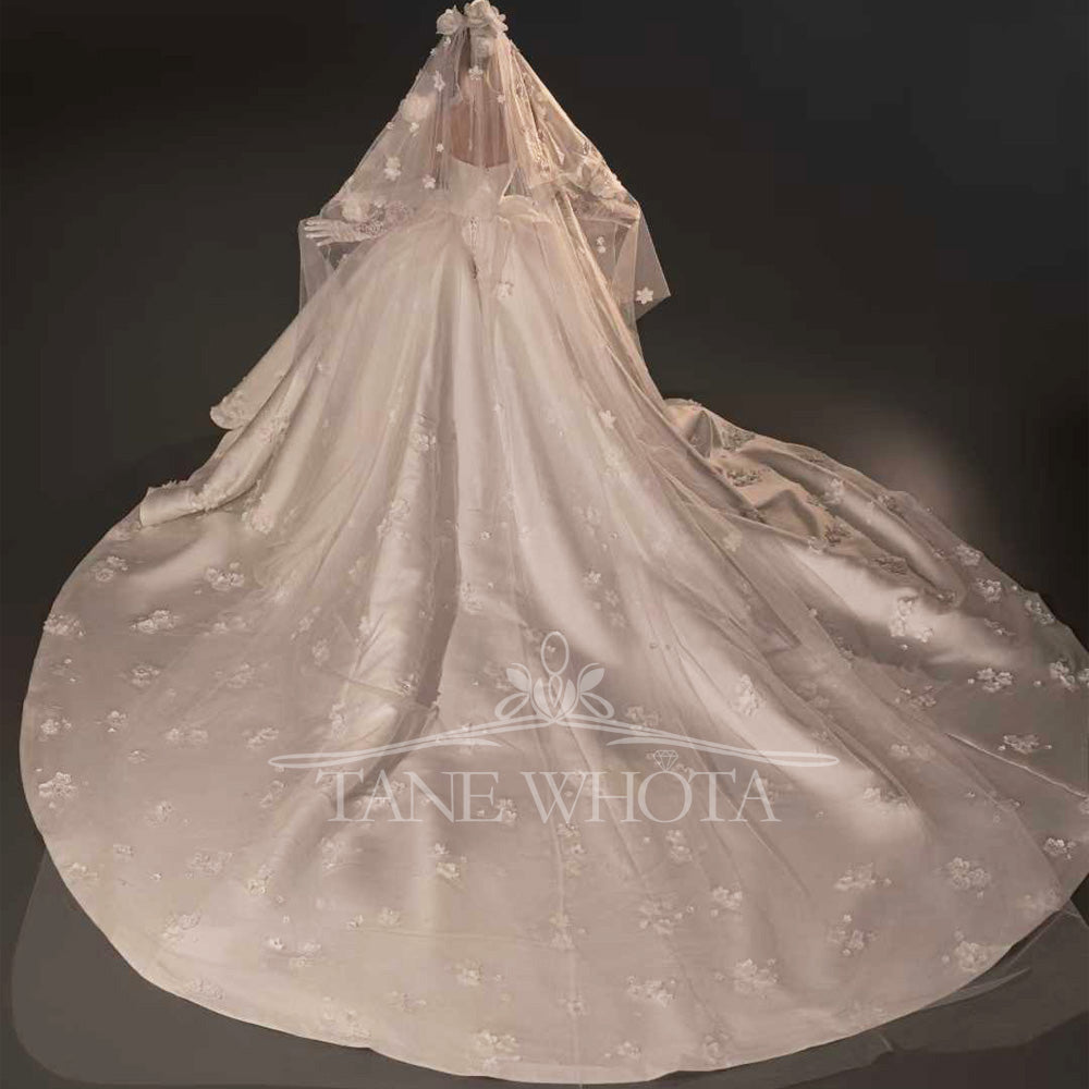 TW739 Strapless Sleeveless Wedding Dress Appliques Ball Gown Customizable Vestidos De Boda